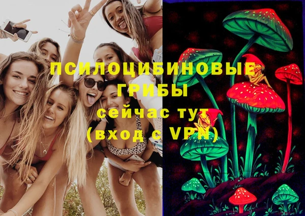 PSILOCYBIN Беломорск